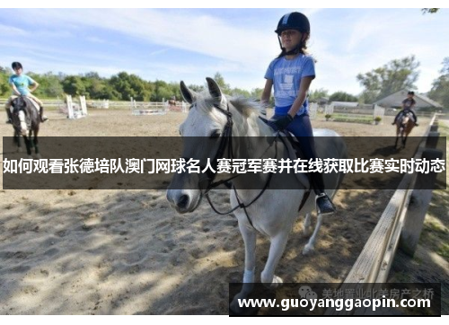 如何观看张德培队澳门网球名人赛冠军赛并在线获取比赛实时动态