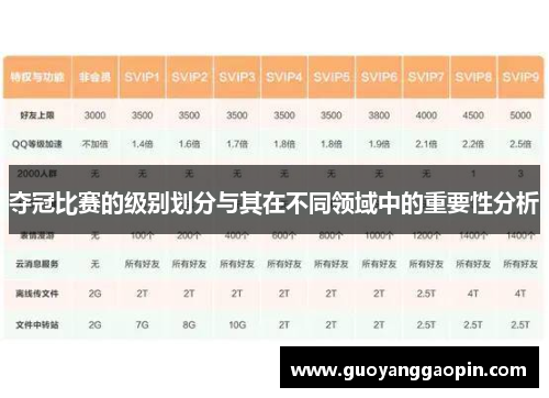 夺冠比赛的级别划分与其在不同领域中的重要性分析