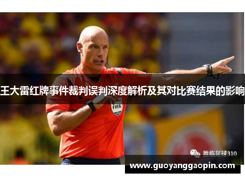 王大雷红牌事件裁判误判深度解析及其对比赛结果的影响