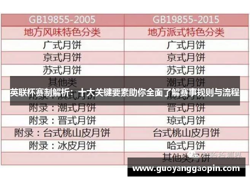 英联杯赛制解析：十大关键要素助你全面了解赛事规则与流程