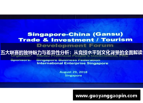 五大联赛的独特魅力与差异性分析：从竞技水平到文化背景的全面解读