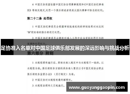足协准入名单对中国足球俱乐部发展的深远影响与挑战分析